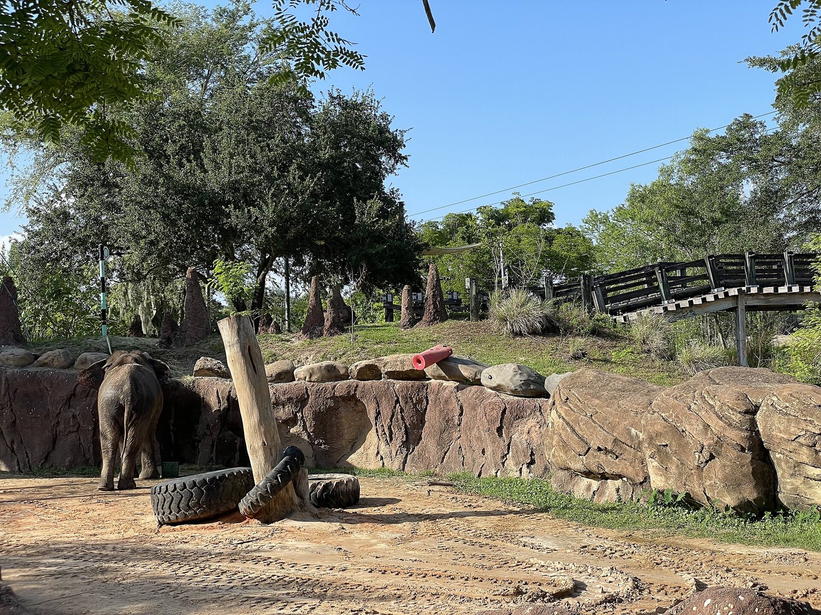 The pontoon bridge over the water section of Rhino Rally at Busch Gardens Tampa Bay
