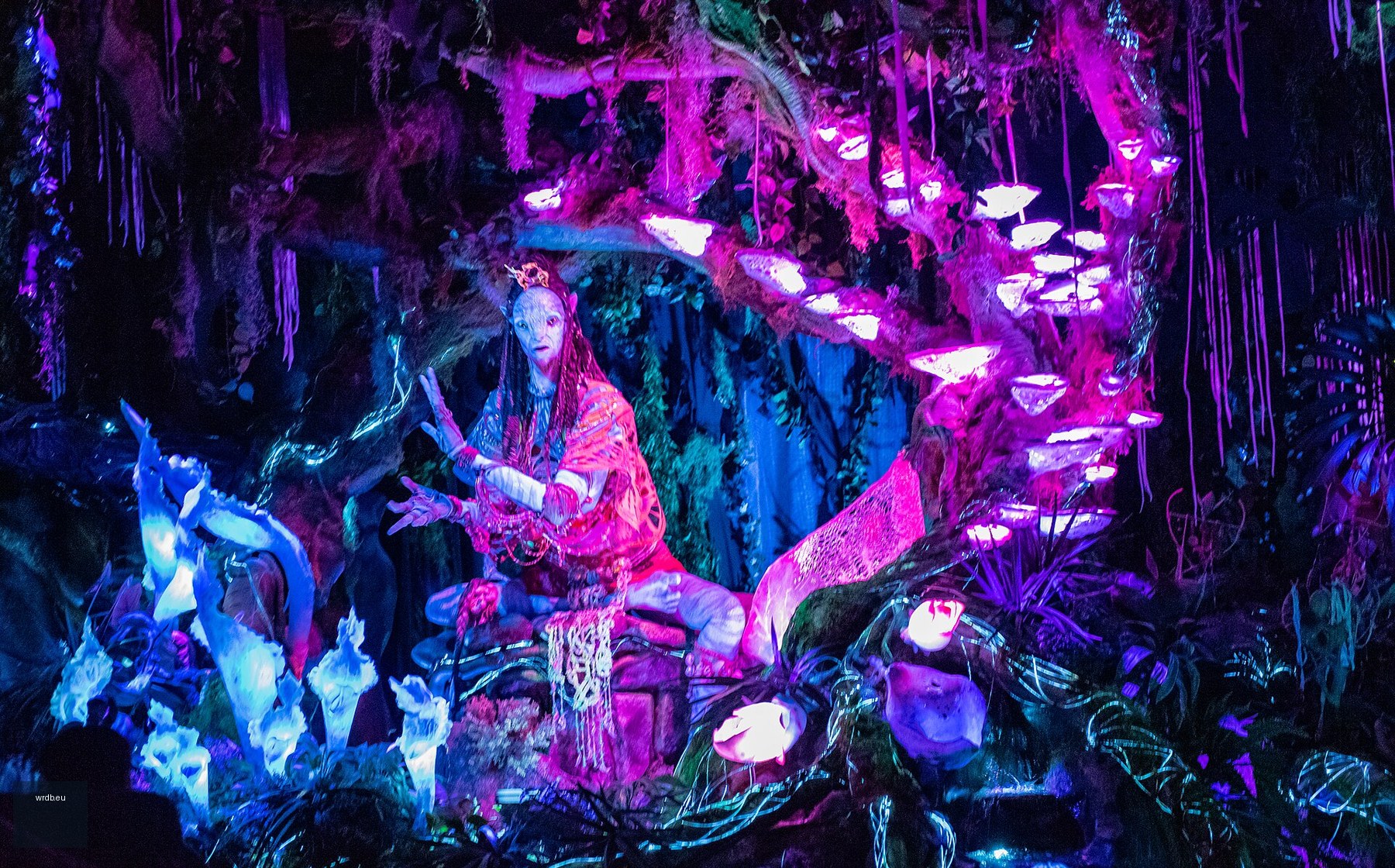 Na'vi River Journey at Disney's Animal Kingdom