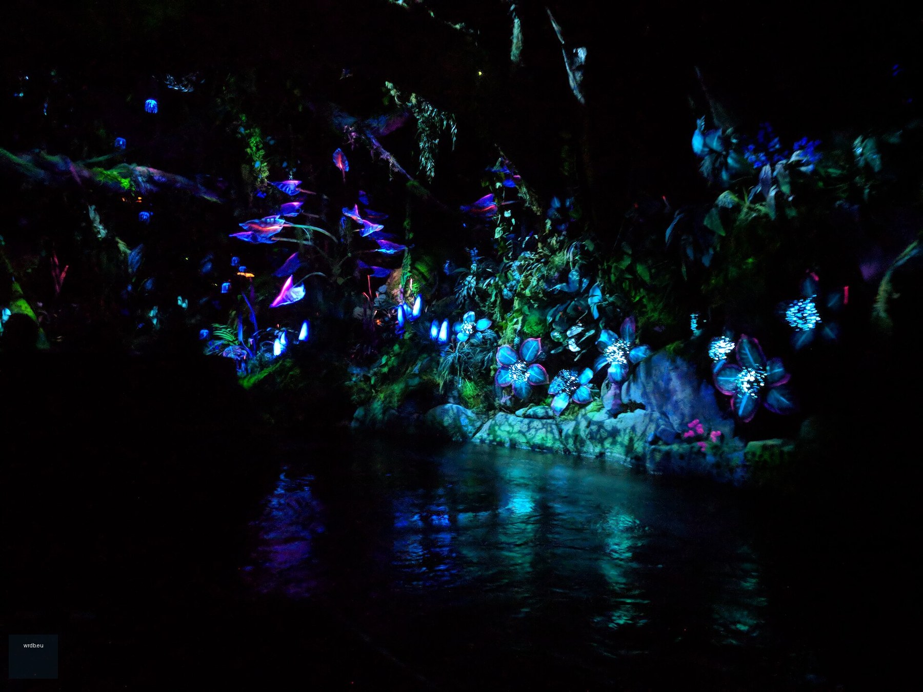 Na'vi River Journey at Disney's Animal Kingdom