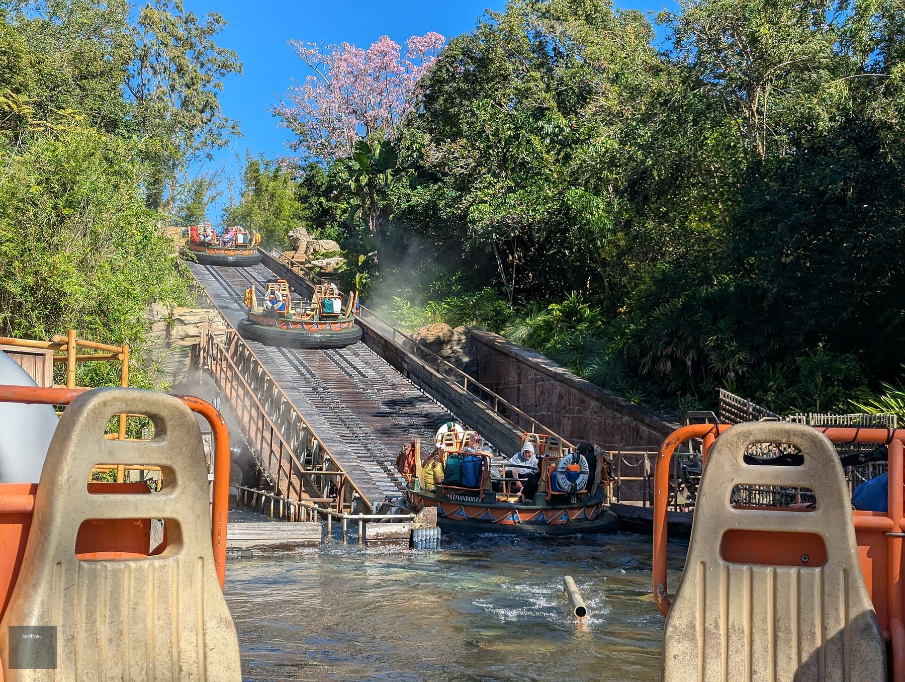 Kali River Rapids at Disney's Animal Kingdom