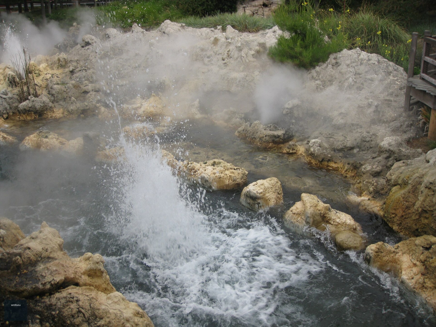 Grizzly River Run at Disney California Adventure