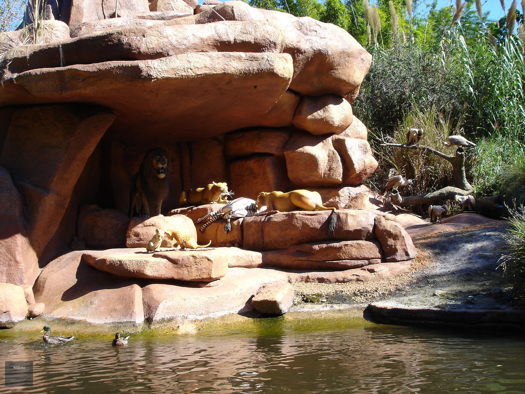 Jungle Cruise at Magic Kingdom