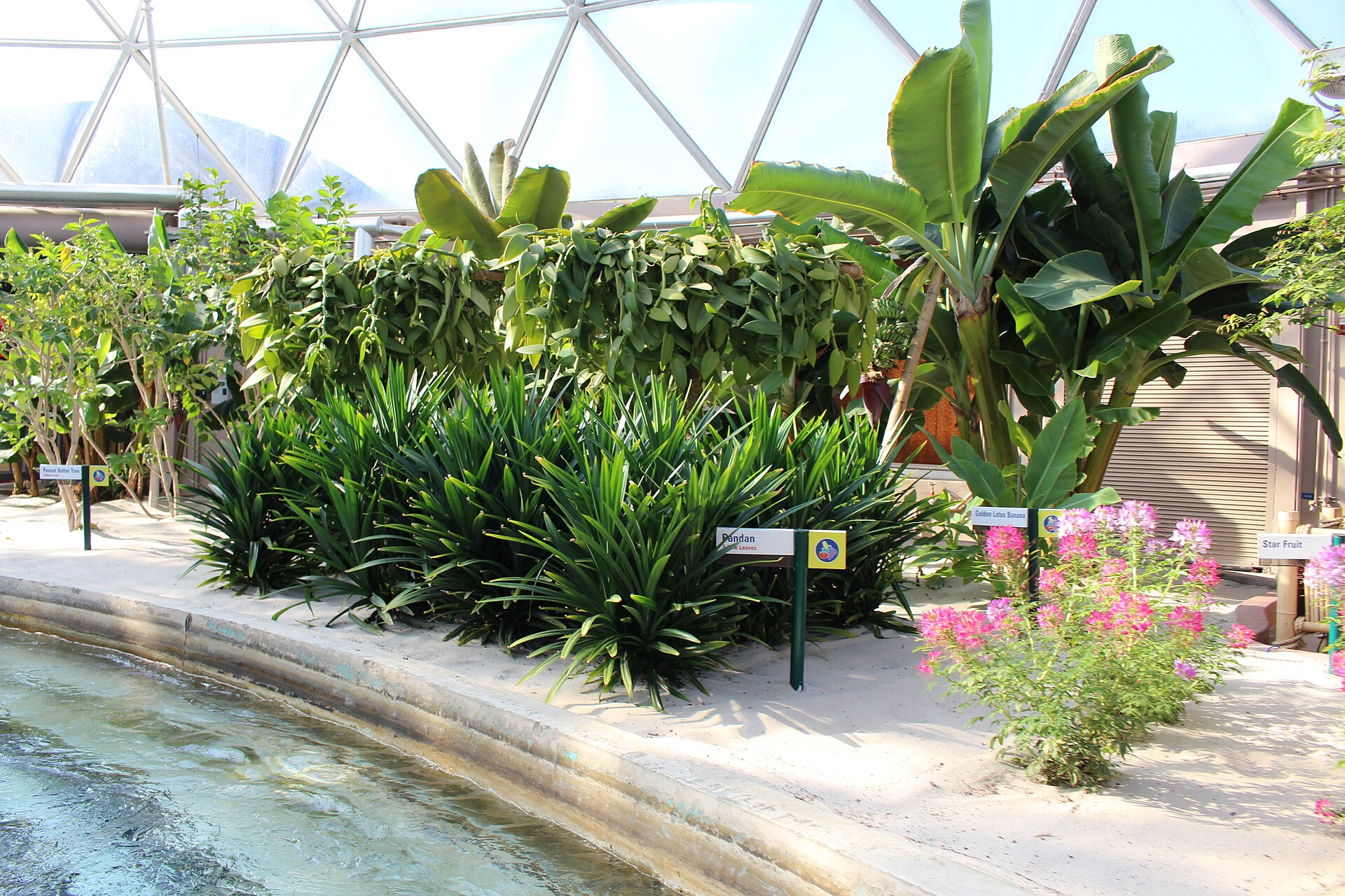 Living with the Land at EPCOT